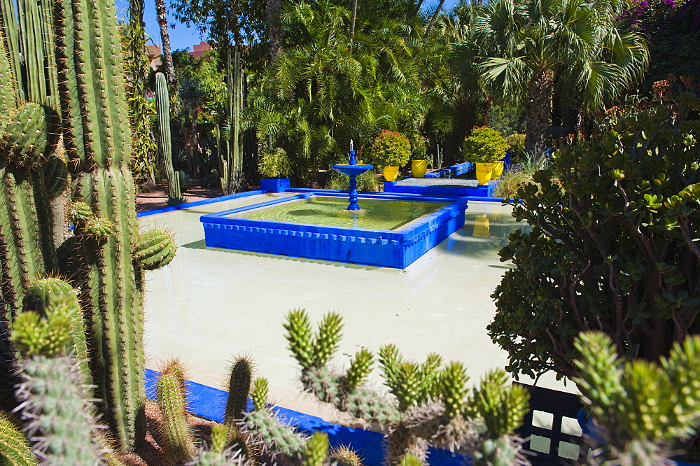 Blue fountain and cactus in the Majorelle Gardens (Gardens of Yves Saint-Laurent), Marrakech, Morocco, North Africa, Africa 