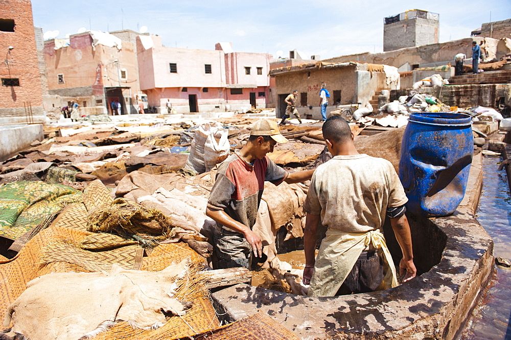 Men working at a tannery in Old Medina, Marrakech, Morocco, North Africa, Africa 