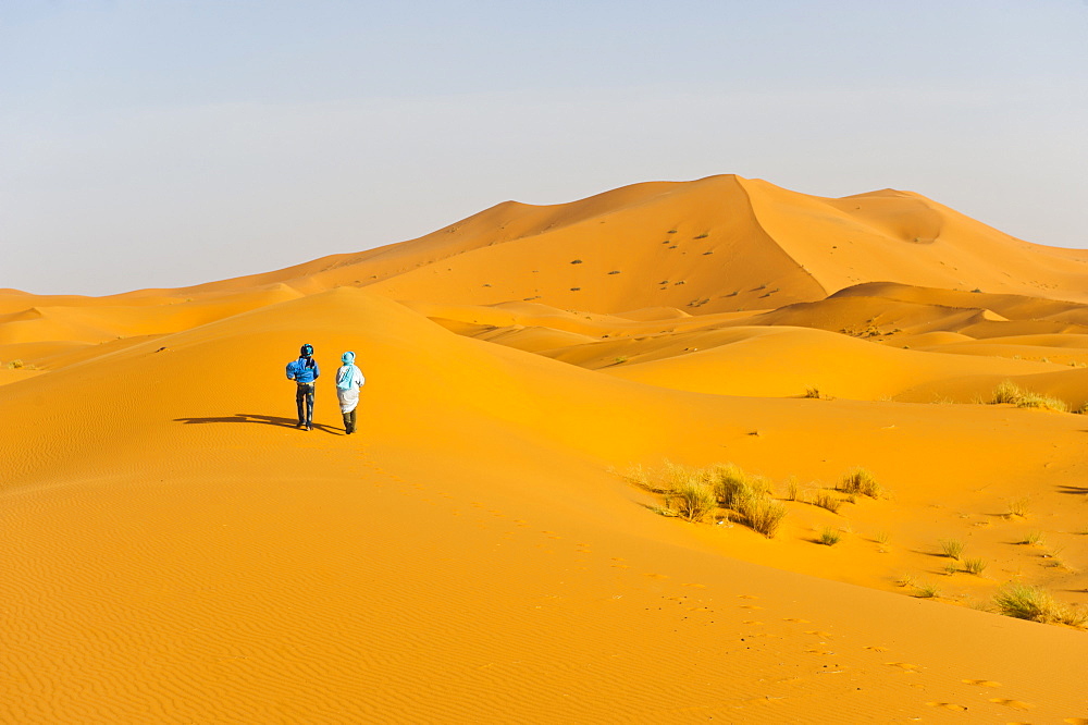 Two Berber men walking in the sand dunes of Erg Chebbi Desert, Sahara Desert near Merzouga, Morocco, North Africa, Africa 