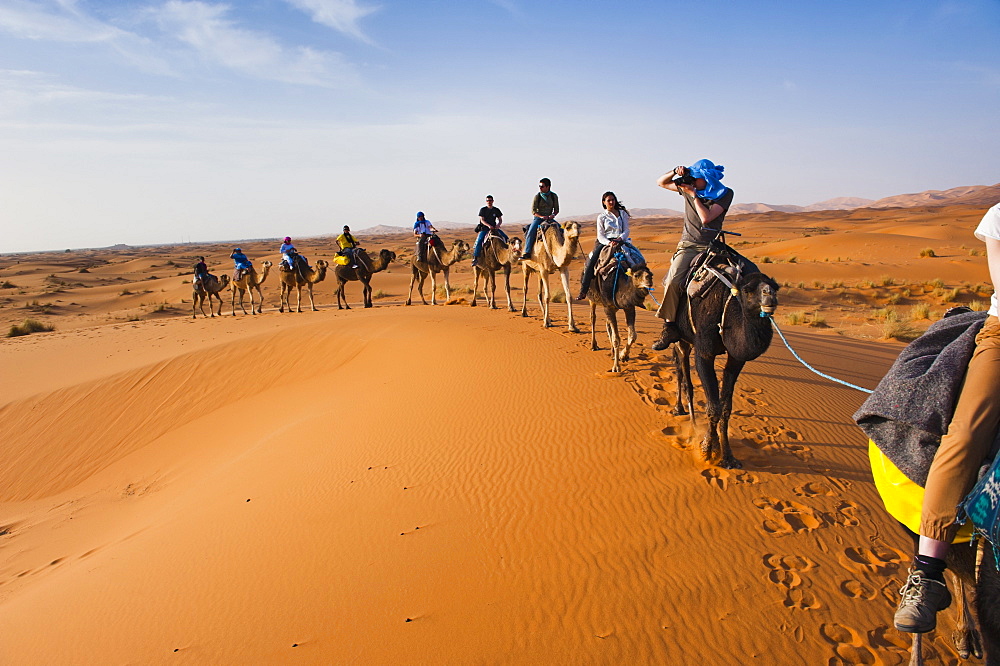 Tourists on a camel ride in Erg Chebbi Desert, Sahara Desert near Merzouga, Morocco, North Africa, Africa 