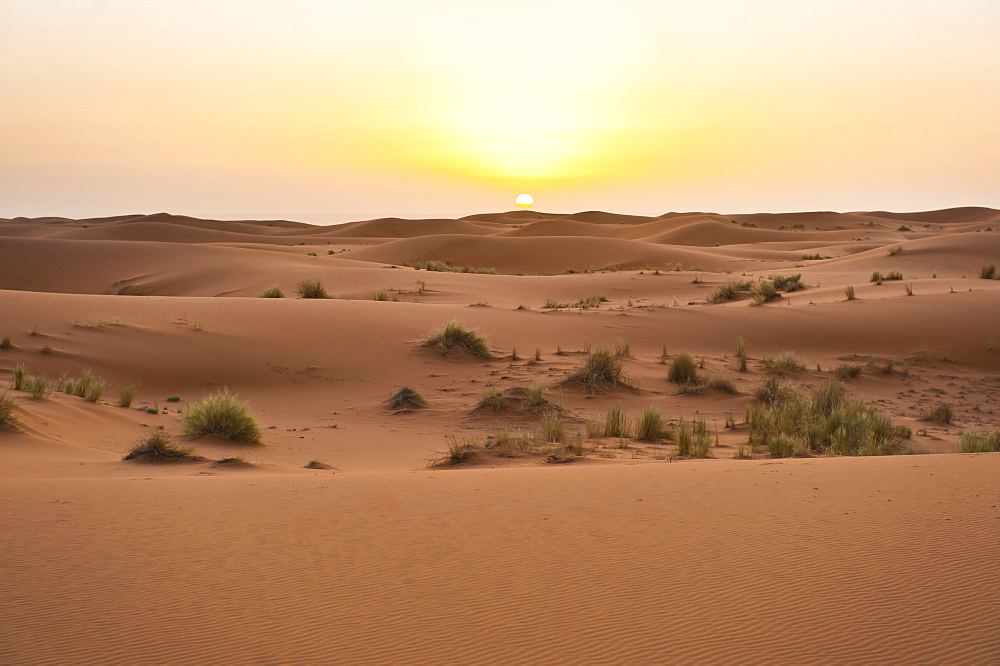 Erg Chebbi dunes at sunrise, Sahara Desert near Merzouga, Morocco, North Africa, Africa 