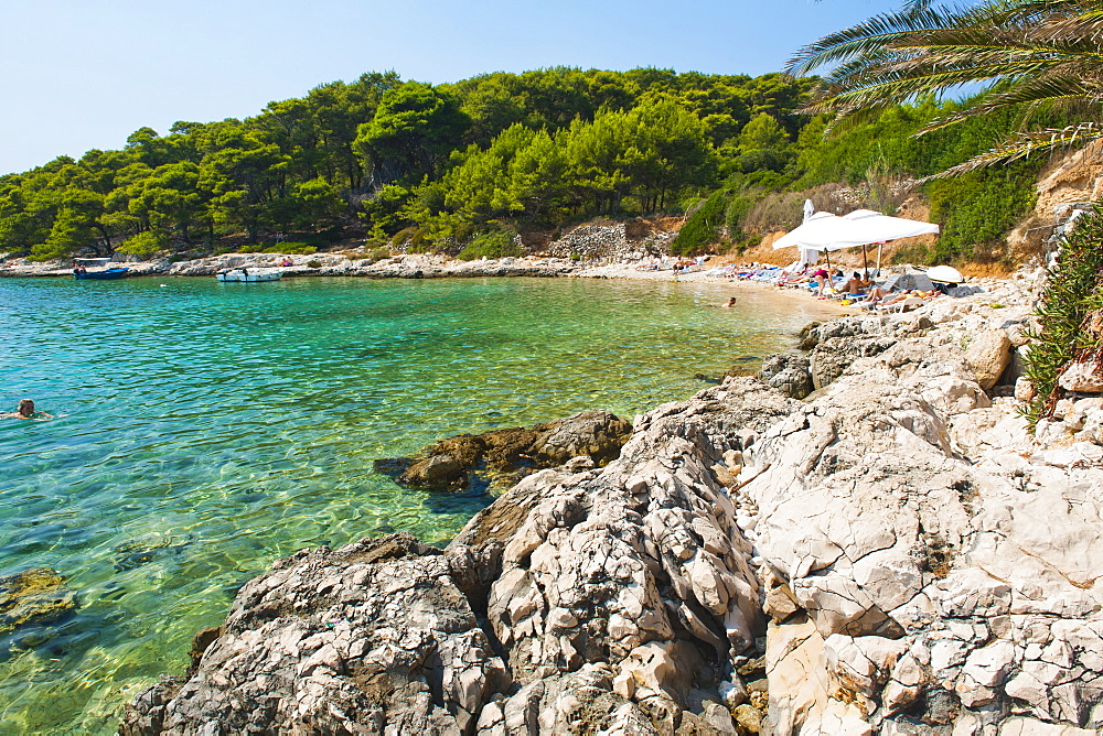 Beach in the Pakleni Islands (Paklinski Islands), Dalmatian Coast, Adriatic Sea, Croatia, Europe 