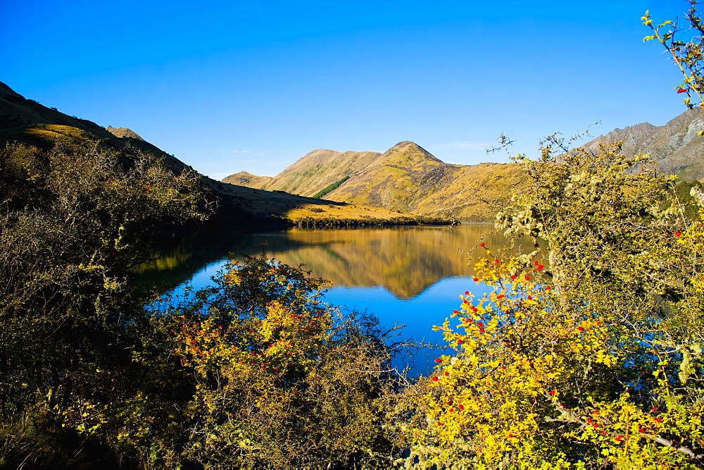 Early morning reflections at Lake Moke, Queenstown, Otago, South Island, New Zealand, Pacific 