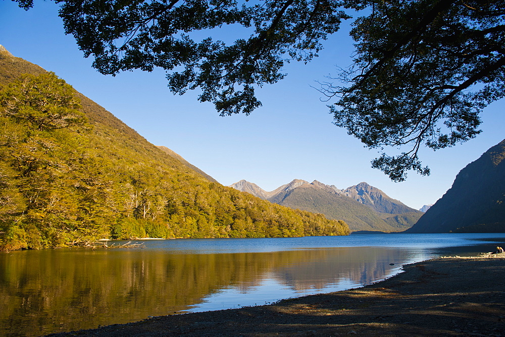 Lake Gunn mountain reflections, Fiordland National Park, UNESCO World Heritage Site, South Island, New Zealand, Pacific 