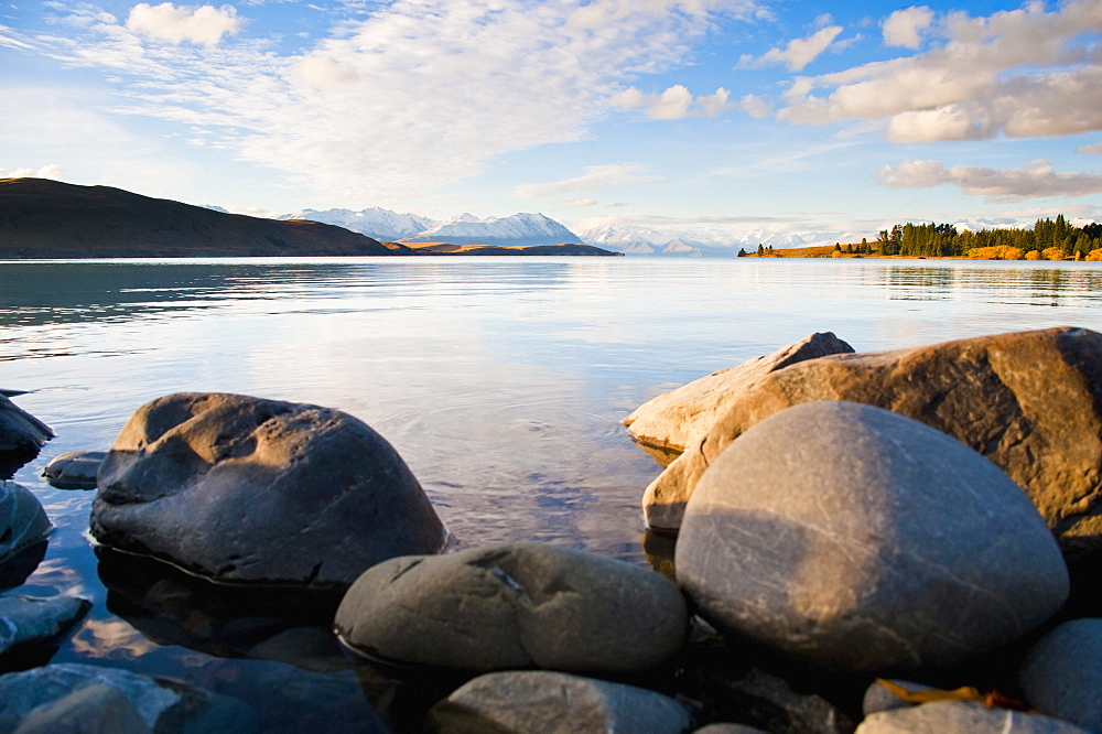 Lake Tekapo in evening light, Southern Lakes, Canterbury Region, South Island, New Zealand, Pacific 