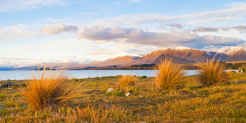 Lake Tekapo at sunset, Southern Lakes, Canterbury Region, South Island, New Zealand, Pacific 