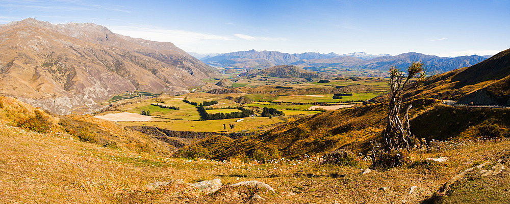 Valley on the West Coast of South Island, New Zealand, Pacific 