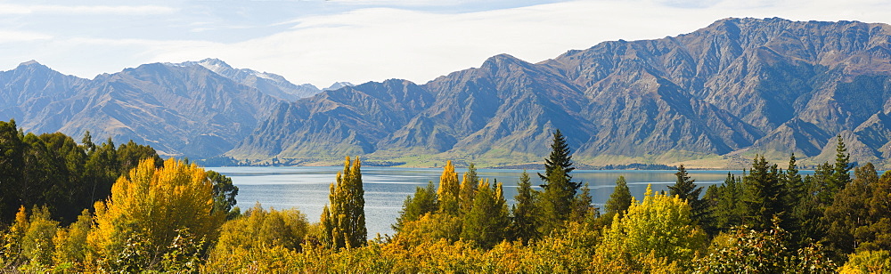 Autumn trees at Lake Hawea, West Coast, South Island, New Zealand, Pacific 