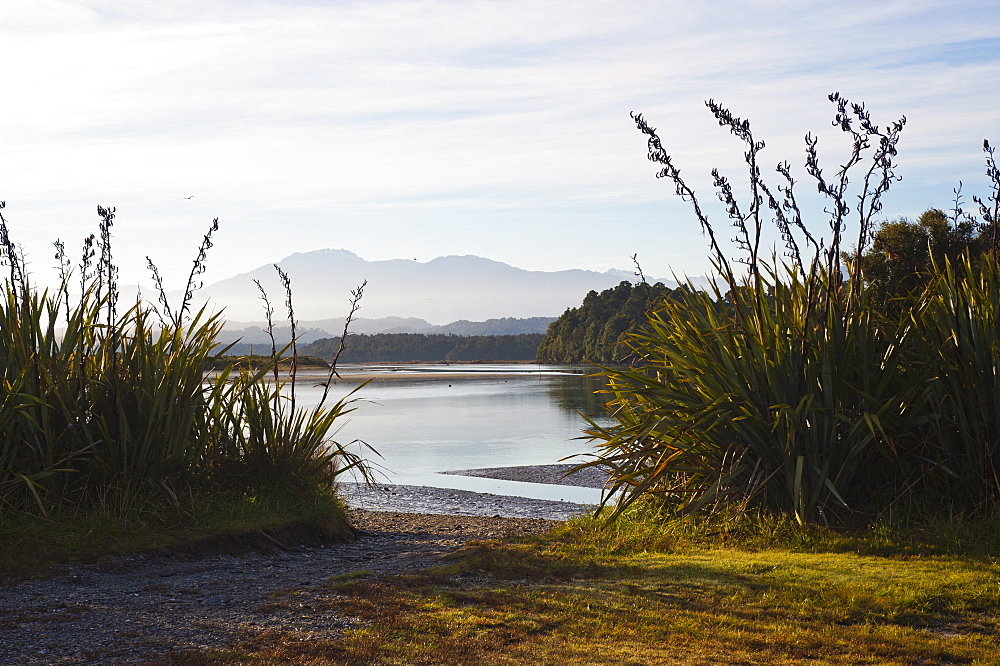 Okarito Lagoon at sunrise, West Coast, South Island, New Zealand, Pacific 