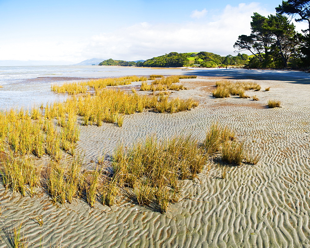 Farewell Spit, Golden Bay, Tasman Region, South Island, New Zealand, Pacific 