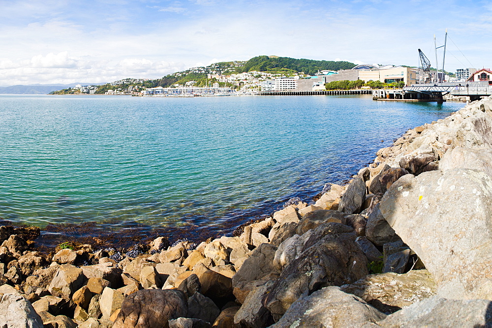 Wellington Harbour, North Island, New Zealand, Pacific 