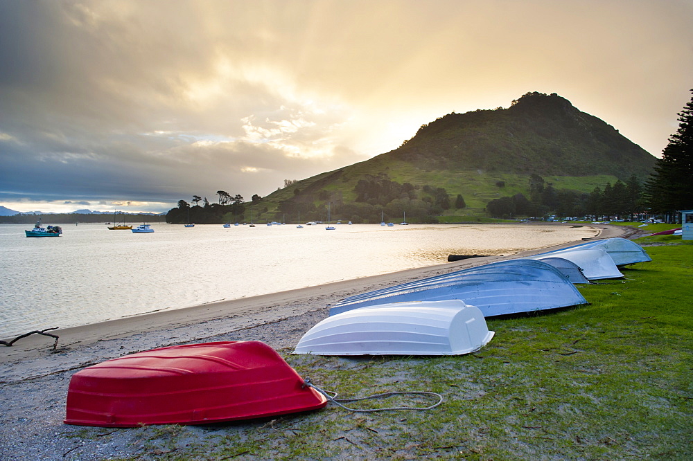 Boats at Mount Maunganui at sunset, Tauranga, North Island, New Zealand, Pacific 