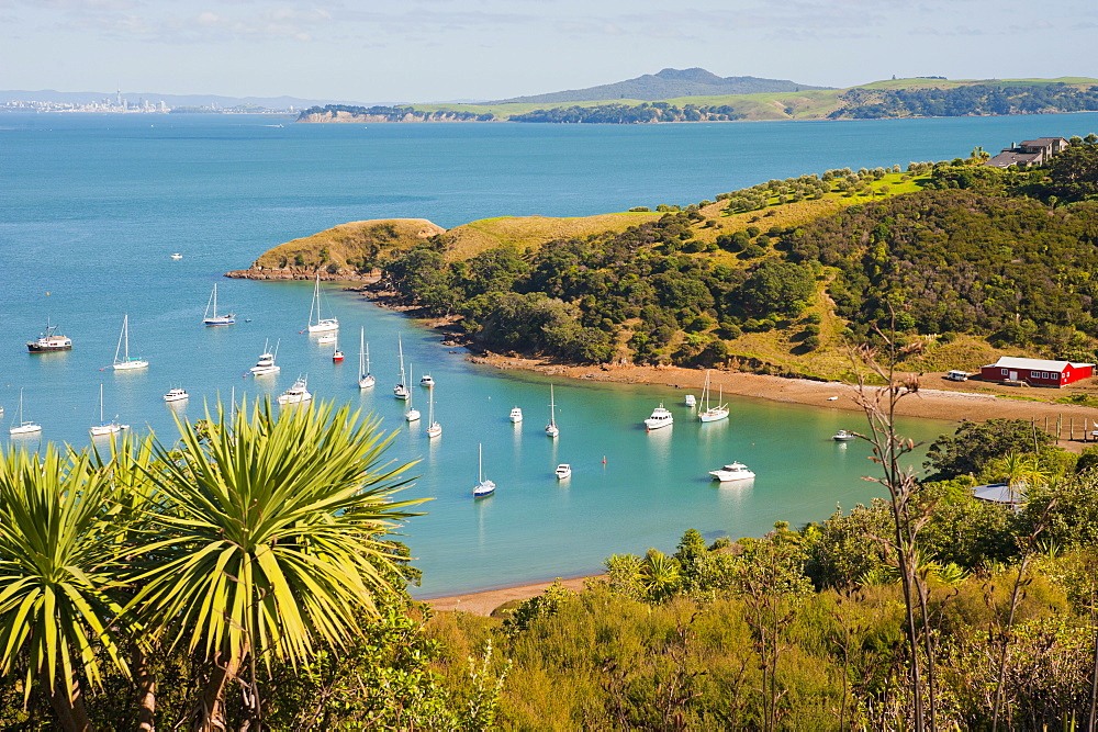 Sailing boats on Waiheke Island, Auckland, North Island, New Zealand, Pacific 