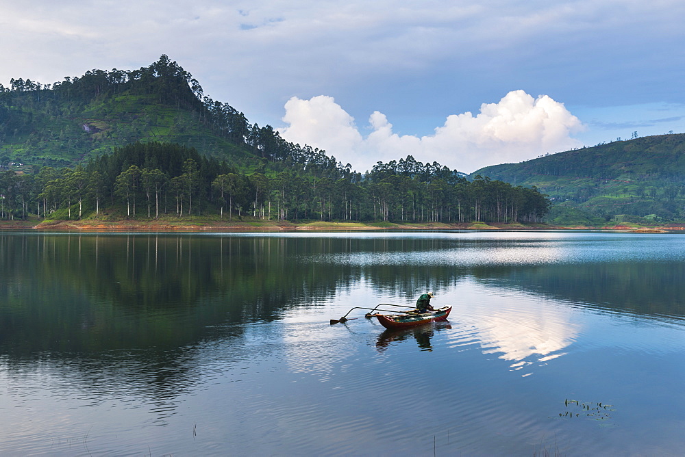 Fisherman at the Maussakele Reservoir between Dalhousie and Hatton, Nuwara Eliya District, Central Highlands, Sri Lanka, Asia 