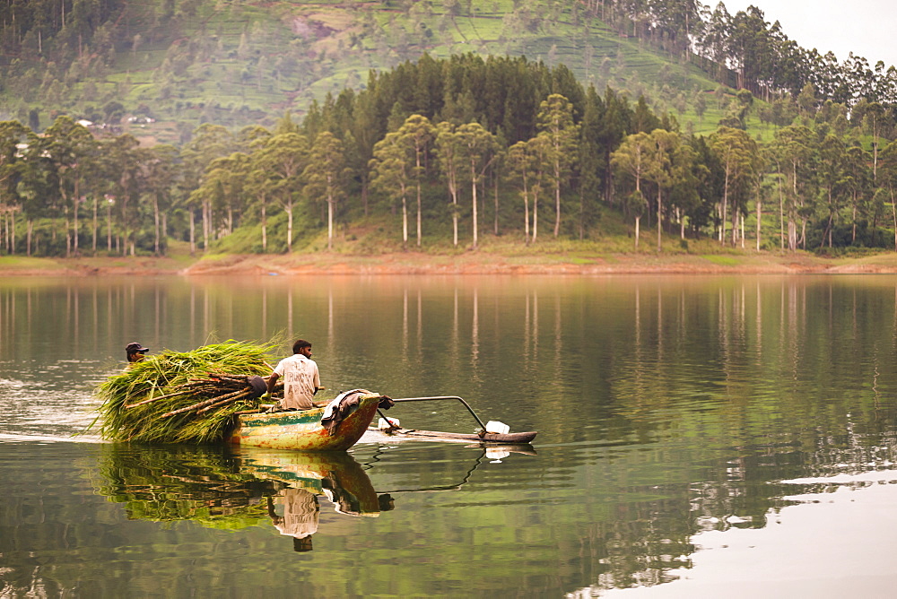 Farmers at the Maussakele Reservoir between Dalhousie and Hatton, Nuwara Eliya District, Central Highlands, Sri Lanka, Asia 