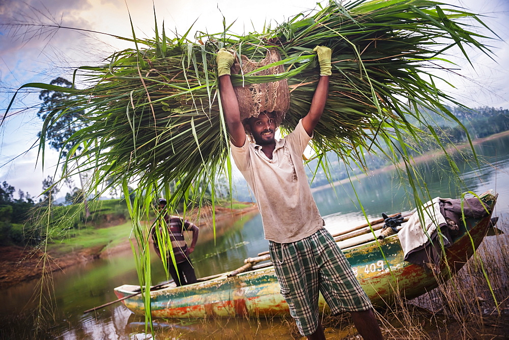 Portrait of a farmer working in the Nuwara Eliya District, Highlands, Sri Lanka, Asia