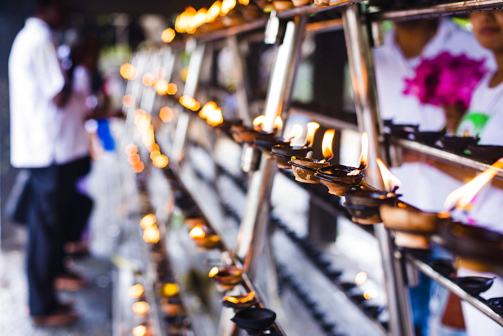 Prayer candles at Sri Maha Bodhi in the Mahavihara (The Great Monastery), Anuradhapura, Sri Lanka, Asia