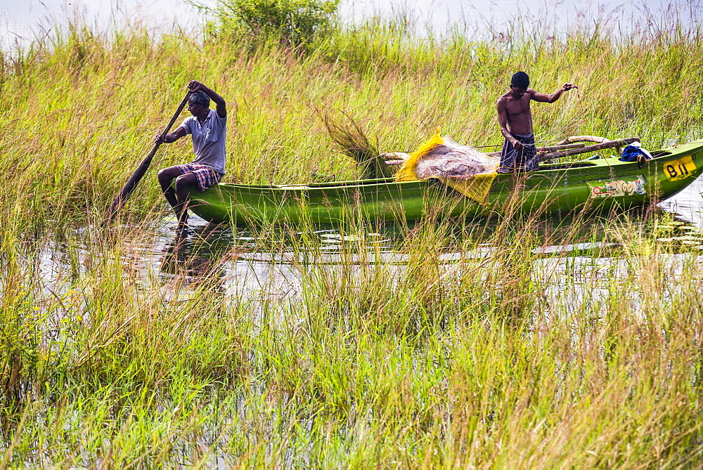 Fishermen fishing on Minneriya Lake, Minneriya National Park, Central Provice, Sri Lanka, Asia