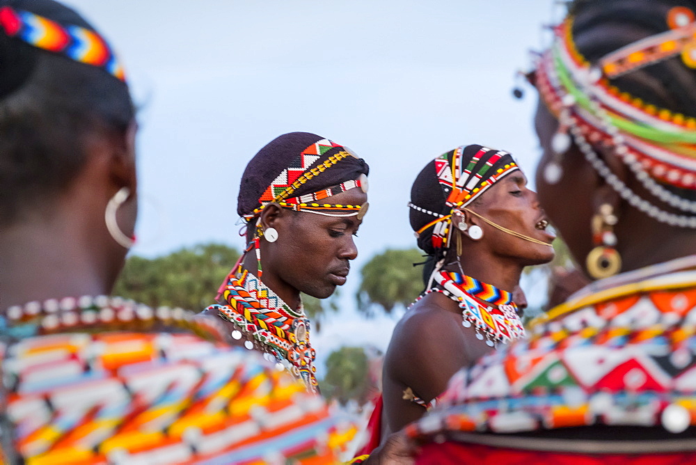 Portrait of Samburu tribe members dancing the traditional wedding dance at dusk, Kenya, East Africa, Africa