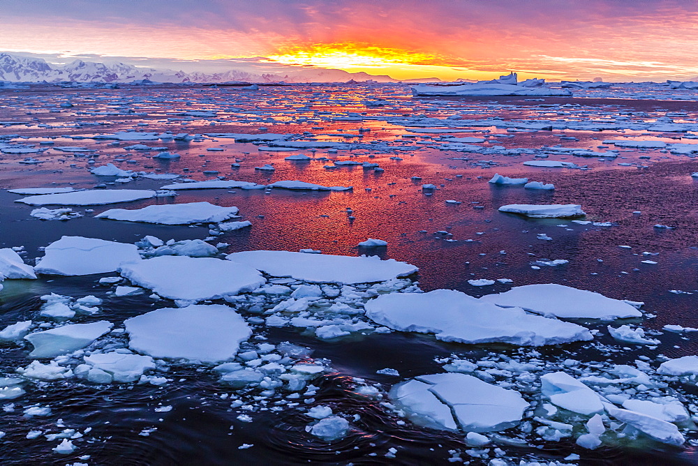 Sunset over ice floes and icebergs, near Pleneau Island, Antarctica, Southern Ocean, Polar Regions