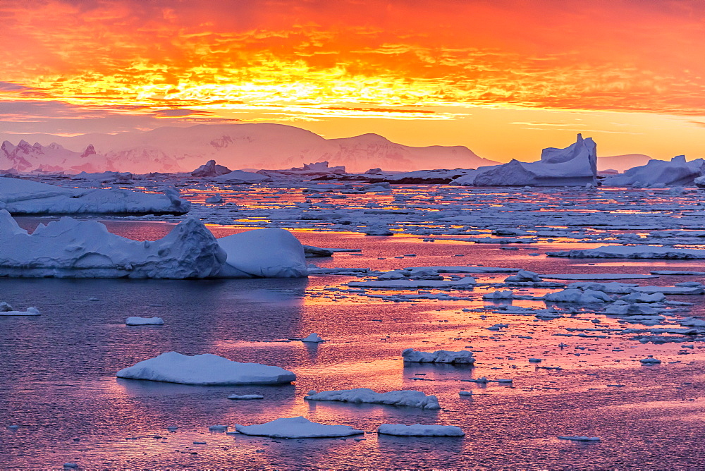 Sunset over ice floes and icebergs, near Pleneau Island, Antarctica, Southern Ocean, Polar Regions