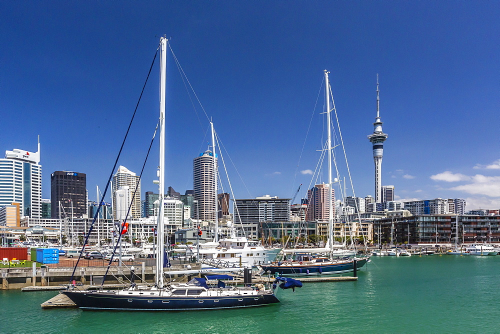 View of the city of Auckland from Auckland Harbour, North Island, New Zealand, Pacific