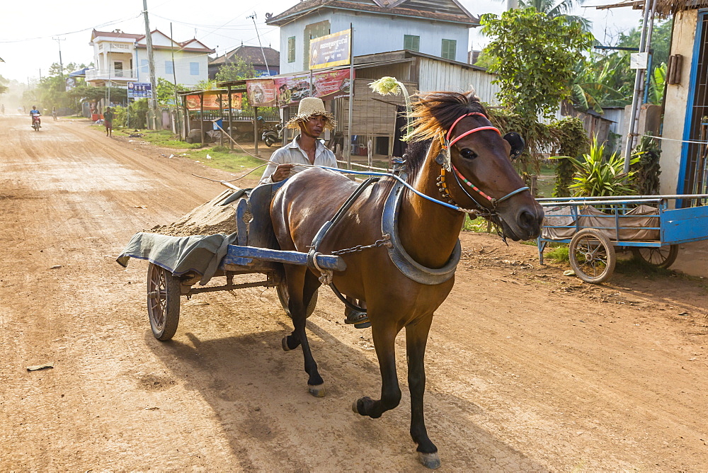 Horse drawn cart in the village of Angkor Ban, on the banks of the Mekong River, Battambang Province, Cambodia, Indochina, Southeast Asia, Asia