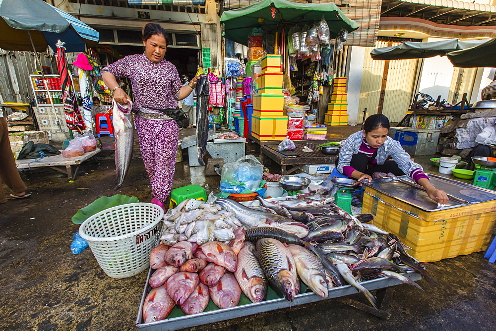 Fresh fish at street market in the capital city of Phnom Penh, Cambodia, Indochina, Southeast Asia, Asia