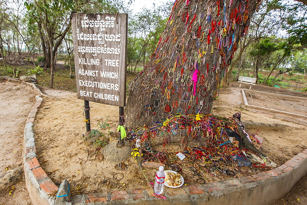 Killing Tree at the Killing Fields of Choueng Ek, child victims under the Khmer Rouge, Phnom Penh, Cambodia, Indochina, Southeast Asia, Asia 