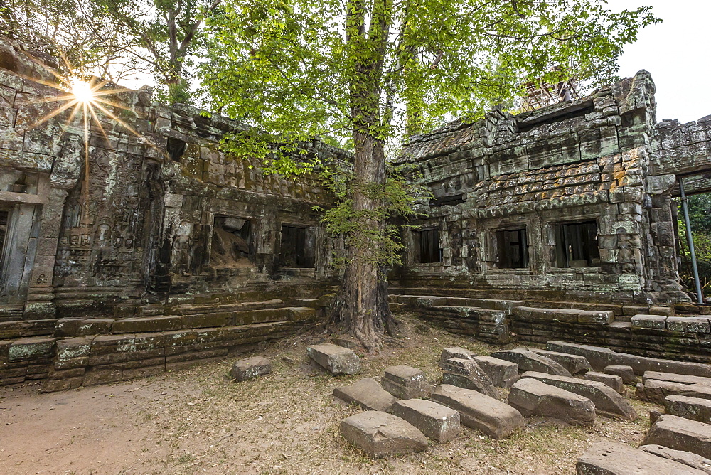 Jungle surrounded ruins at Ta Prohm Temple (Rajavihara), Angkor, UNESCO World Heritage Site, Siem Reap Province, Cambodia, Indochina, Southeast Asia, Asia 