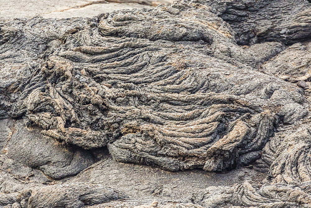 Example of pahoehoe lava on Fernandina Island, Galapagos Islands, Ecuador, South America 