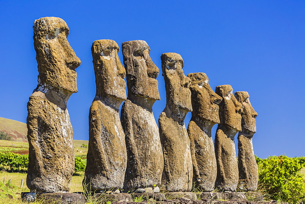 Seven Moai at Ahu Akivi, the first restored altar on Easter Island (Isla de Pascua) (Rapa Nui), UNESCO World Heritage Site, Chile, South America 