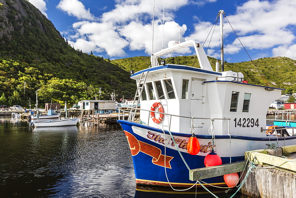 Small harbour with fishing boats outside St. John's, Newfoundland, Canada, North America