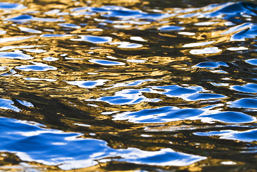 Reflections in the Pacific Ocean, Fernandina Island, Galapagos Islands, Ecuador, South America