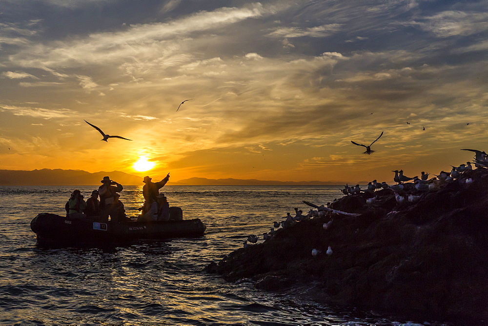 Zodiac from the Lindblad Expeditions ship National Geographic Sea Bird with guests at Isla Rasita, Baja California Norte, Mexico, North America