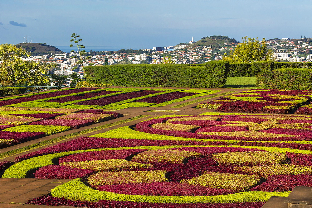 A view of the Botanical Gardens, Jardim Botanico do Funchal, in the city of Funchal, Madeira, Portugal, Europe