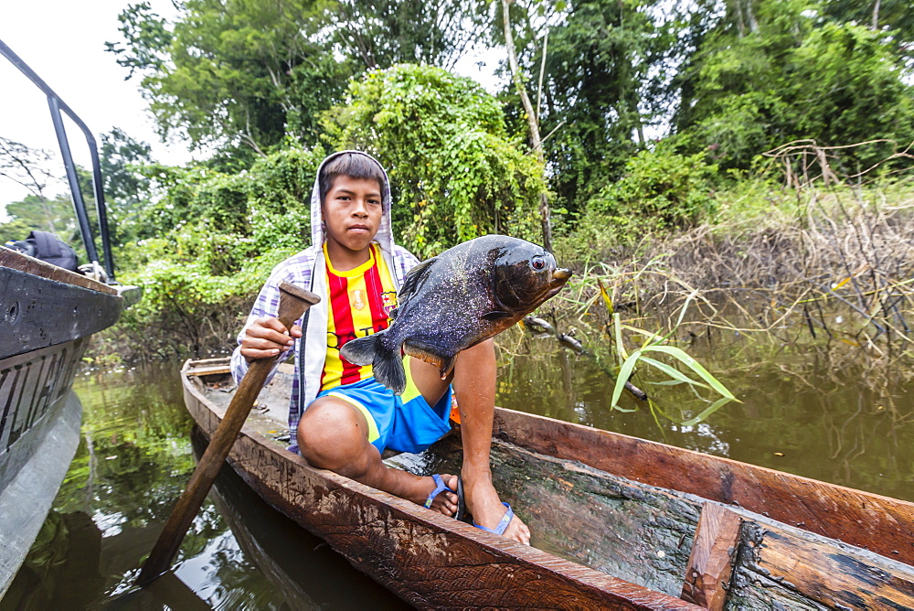 Young boy in dugout canoe with speared piranha on the San Miguel Caño, Loreto, Peru, South America