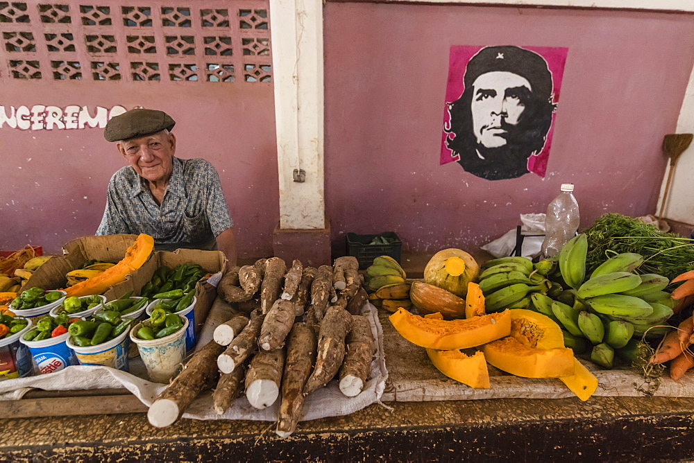 Fruit and vegetables for sale by private vendor at the Mercado Industrial in Cienfuegos, Cuba, West Indies, Caribbean, Central America