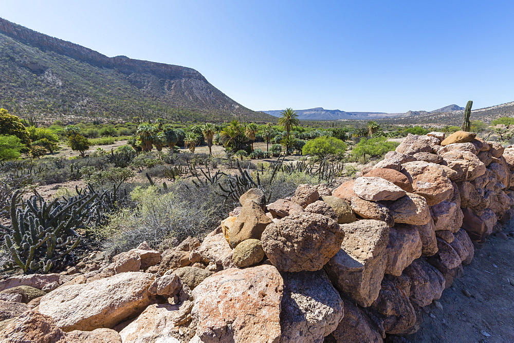 View of the Jesuit Mision de San Francisco Borja, Baja California, Mexico, North America