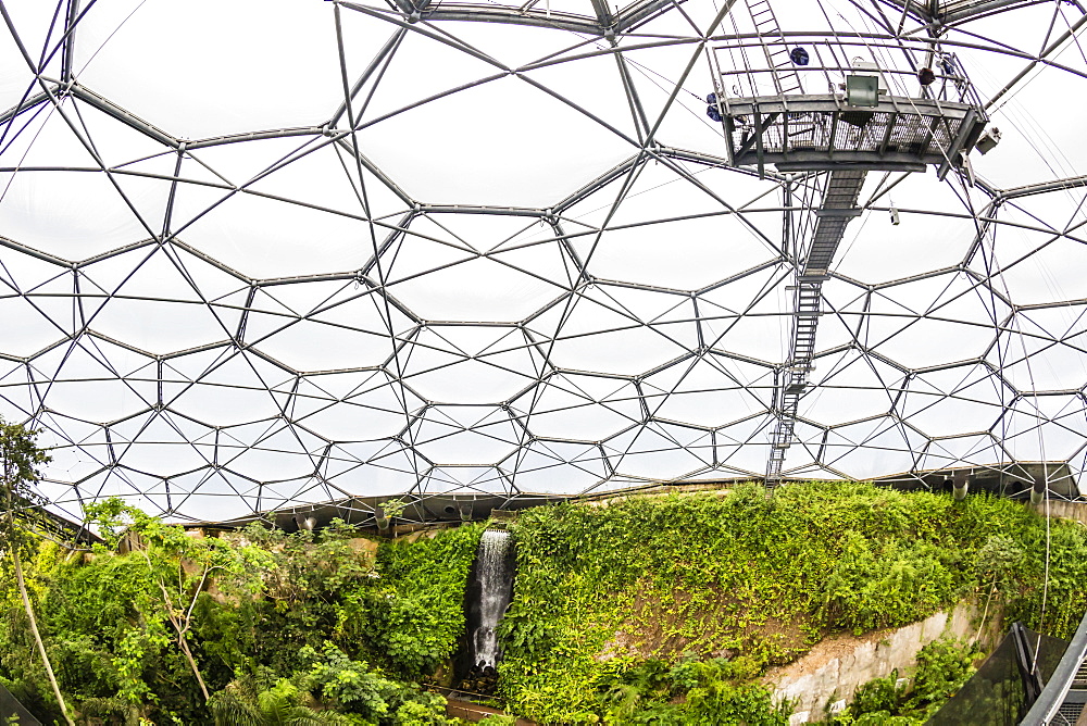 Inside the tropical biome at the popular visitor attraction, The Eden Project, St. Blazey, near St. Austell, Cornwall, England, United Kingdom, Europe