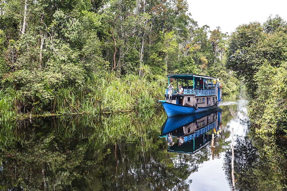 Klotok with tourists on the Sekonyer River, Tanjung Puting National Park, Kalimantan, Borneo, Indonesia, Southeast Asia, Asia