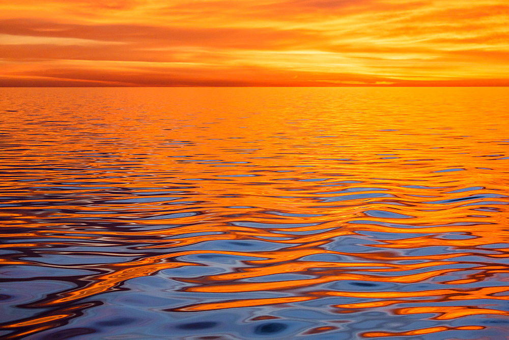 Beautiful sunset light reflected on a calm ocean near Isla San Marcos, Baja California Sur, Mexico, North America