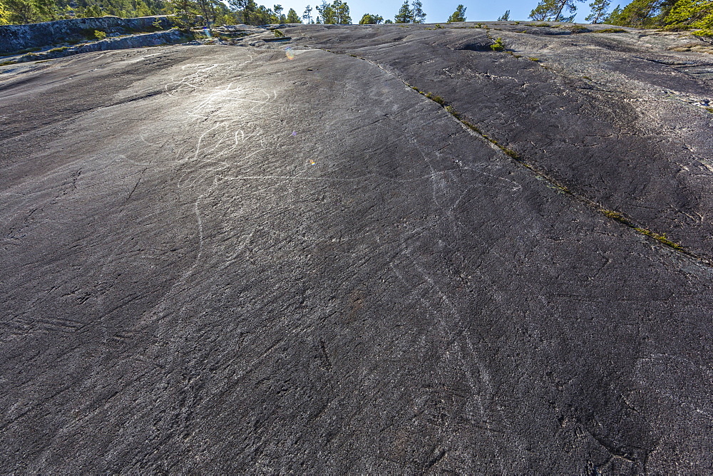 Animal forms in the 9000 year old ground and polished Stone Age rock art at Leiknes, Norway, Scandinavia, Europe