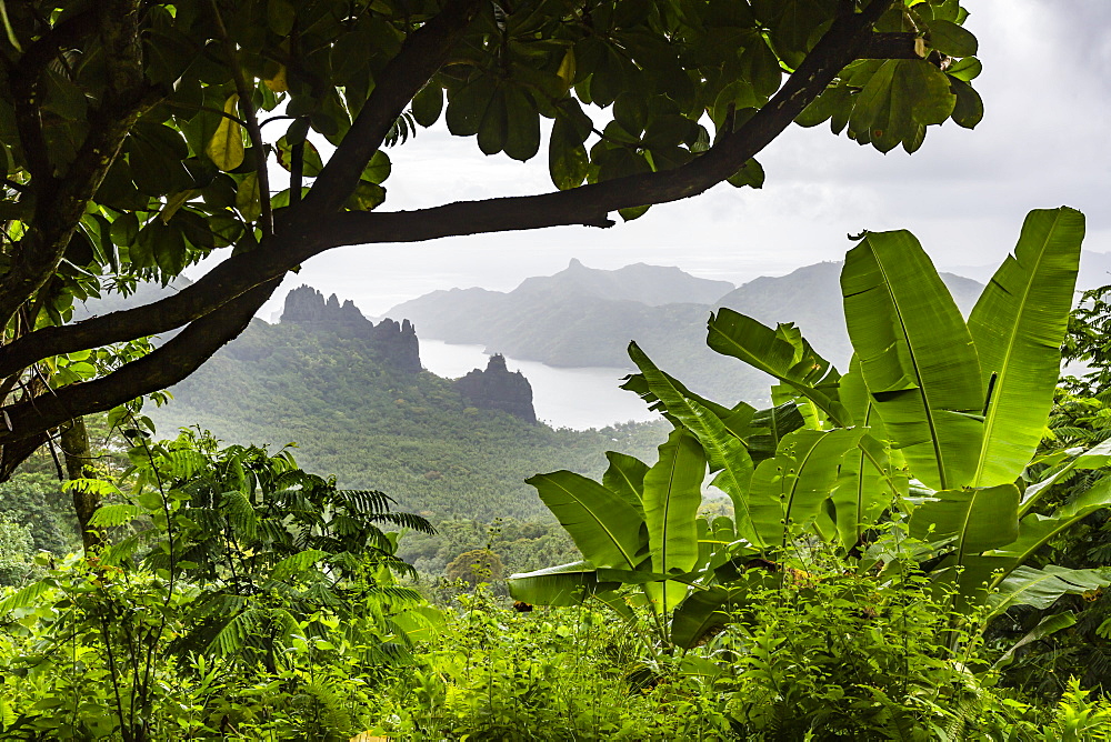 The rugged coastline of Nuku Hiva Island, Marquesas, French Polynesia, South Pacific, Pacific