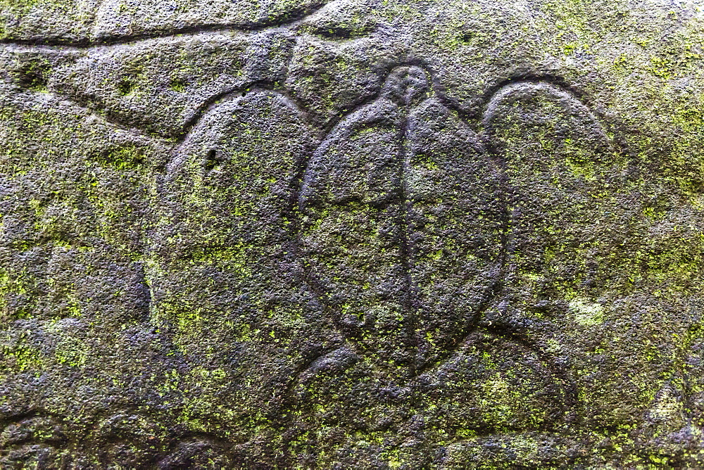 Petroglyphs carved into basalt on sacred ground at Hatiheu, Nuku Hiva, Marquesas, French Polynesia, South Pacific, Pacific