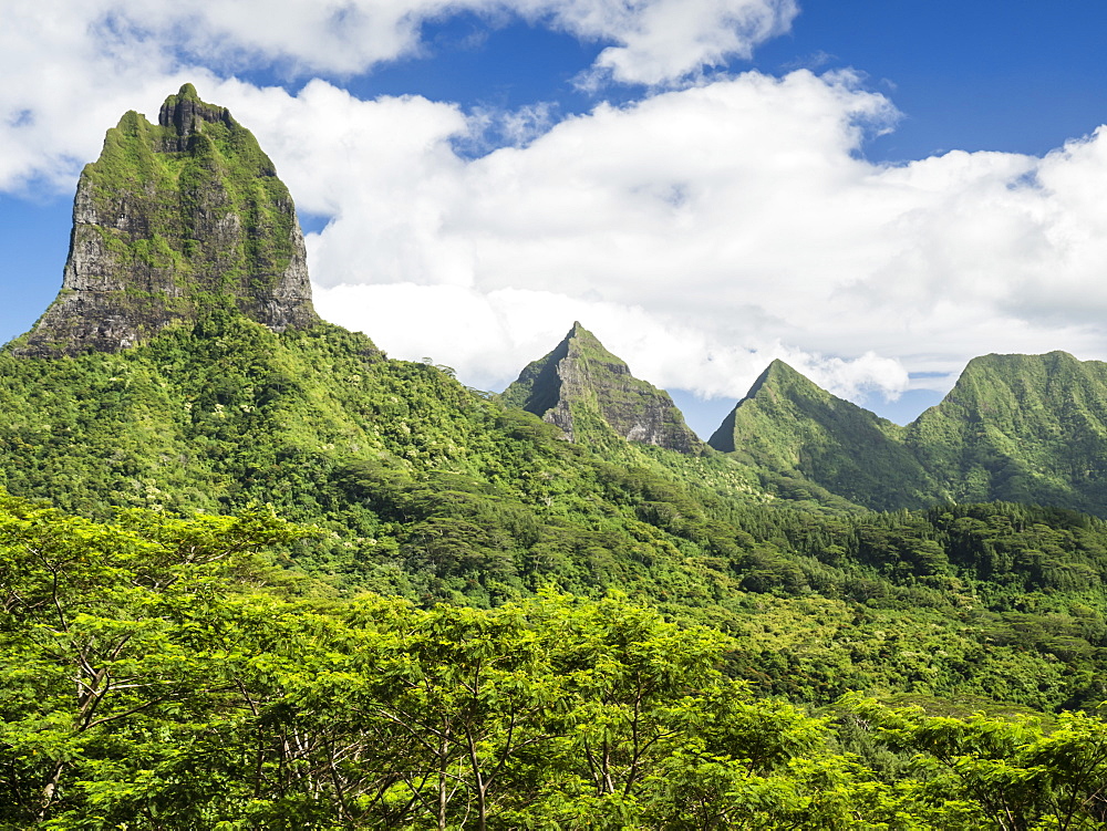 View of the rugged mountains surrounding Opunohu Valley from the Belvedere Overlook, Moorea, French Polynesia, South Pacific, Pacific