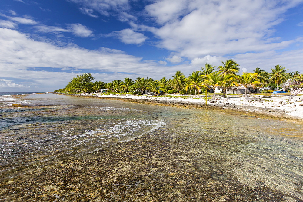 Palm trees line the beach in the front of the town of Tapana, Niau Atoll, Tuamotus, French Polynesia, South Pacific, Pacific