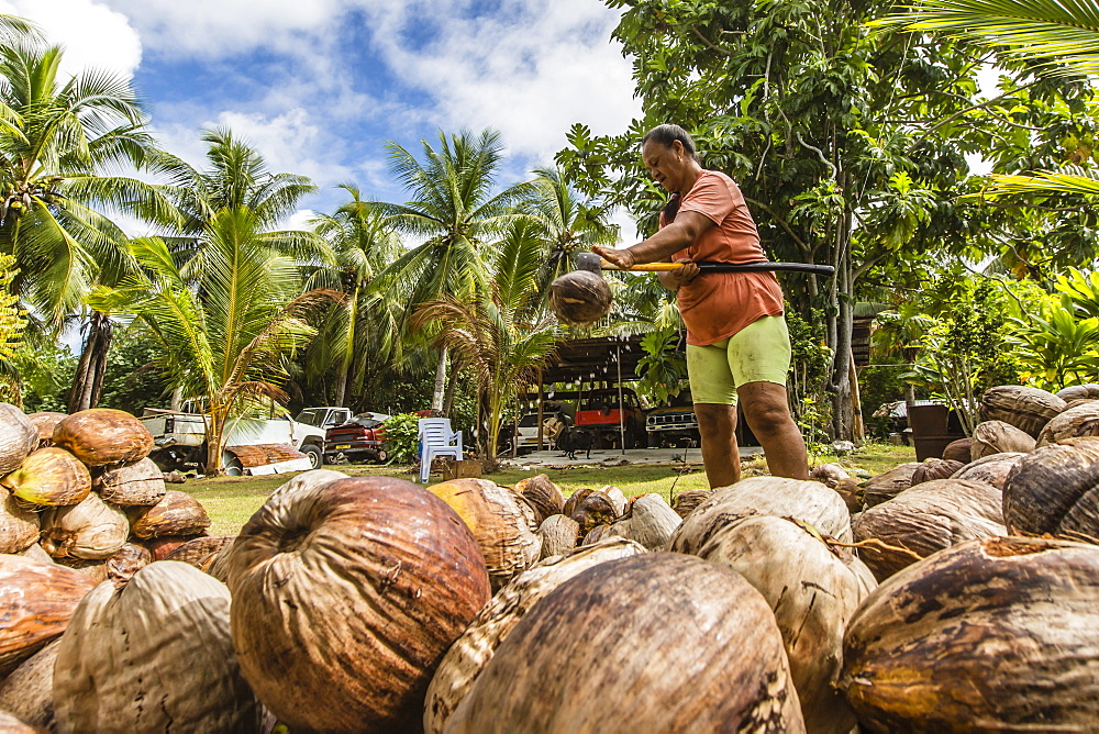 Woman splitting and drying coconuts to make copra in the town of Tapana, Niau Atoll, Tuamotus, French Polynesia, South Pacific, Pacific