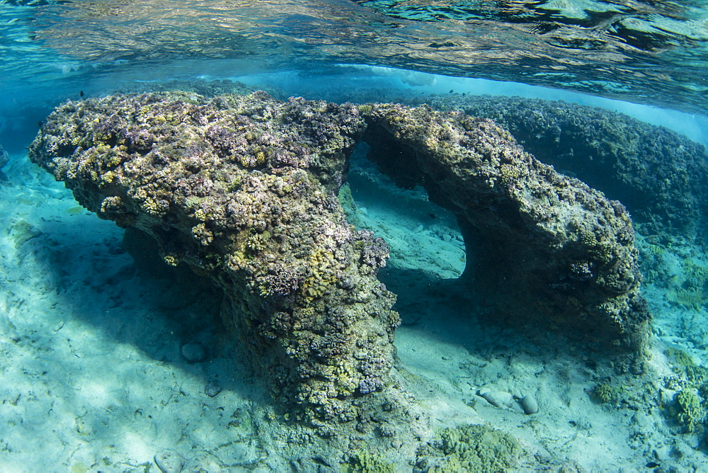 Perfect example of spur and groove reef formation at Niau Atoll, Tuamotus, French Polynesia, South Pacific, Pacific