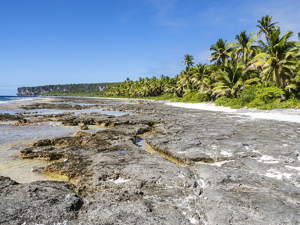 Rising to 260 feet above sea level, Makatea is a raised coral atoll with fresh water, Tuamotus, French Polynesia, South Pacific, Pacific